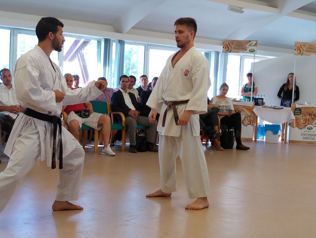 A képre kattintva további tartalmat tekinthet meg az IPA NAV Szervezet facebook csoportban